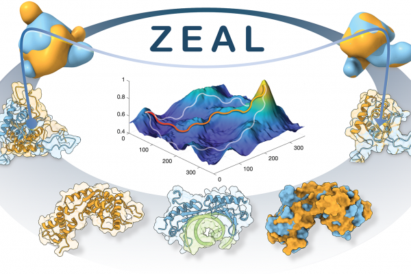ZEAL: protein structure alignment based on shape similarity