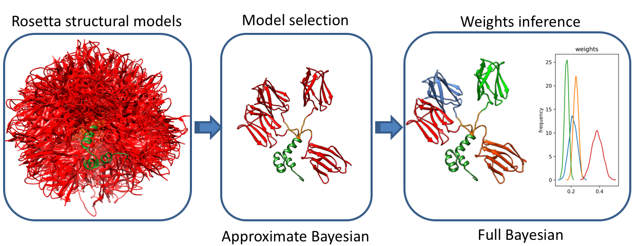 Bayesian inference of protein conformational ensembles from limited structural data