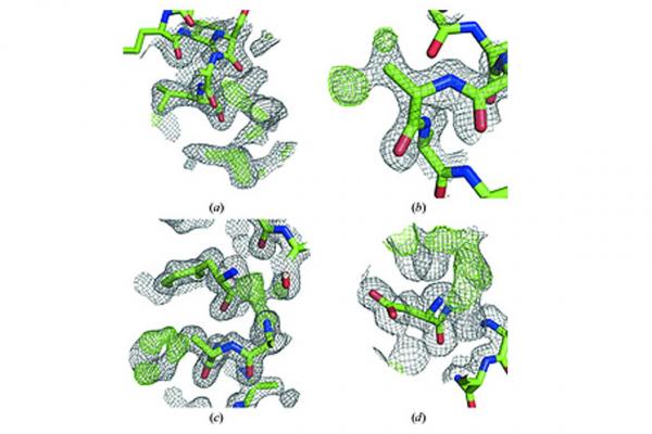 Automated de novo phasing and model building of coiled-coil proteins