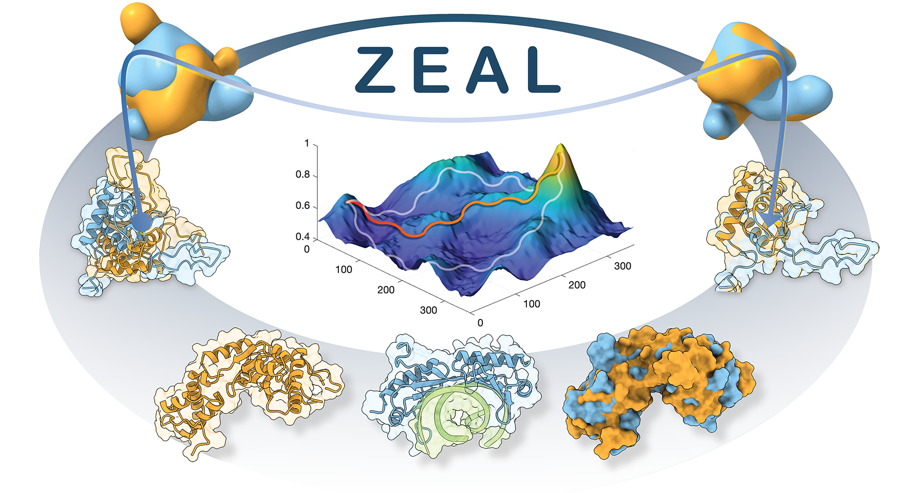 ZEAL: protein structure alignment based on shape similarity